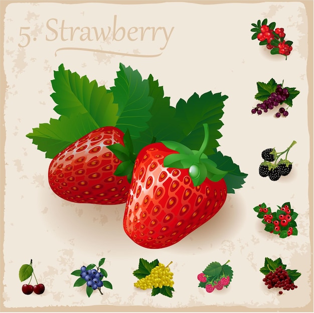 Vector strawberries with leaves.