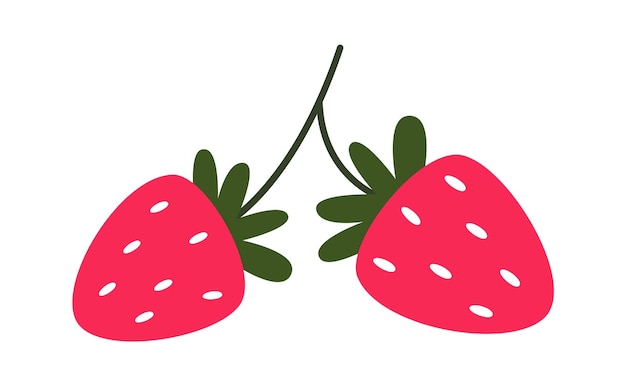 Vector strawberry berries on brunch