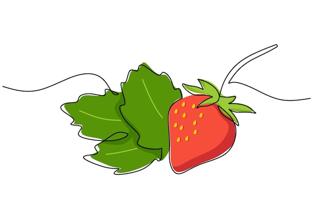 Strawberry continuous one line drawing fruit vector illustration