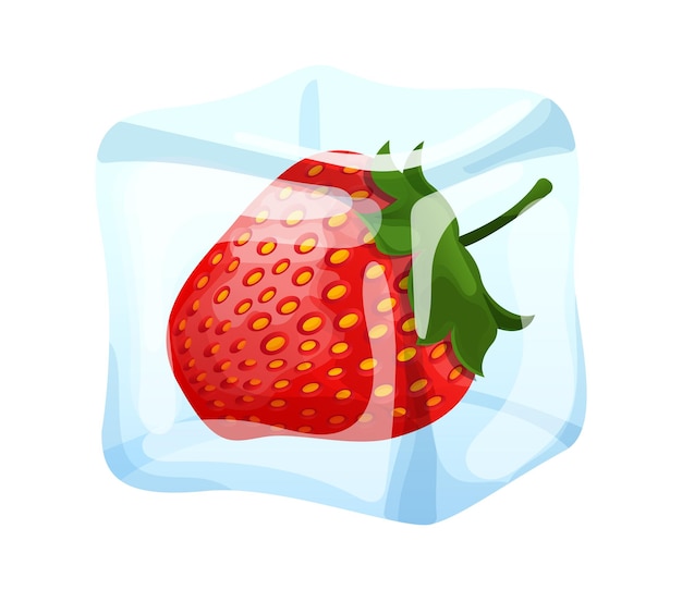 Vector strawberry frozen in transparent ice block concept realistic delicious iced berry food icon cartoon