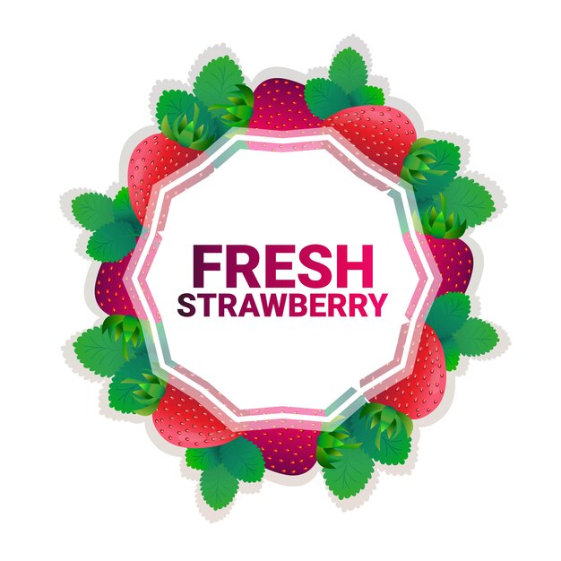 Strawberry fruit colorful circle copy space organic over white pattern background