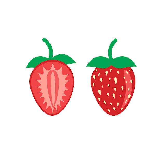 Vector strawberry fruit in flat illustration