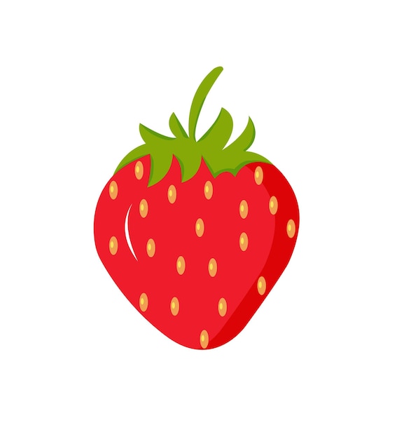 Strawberry  fruit illutration