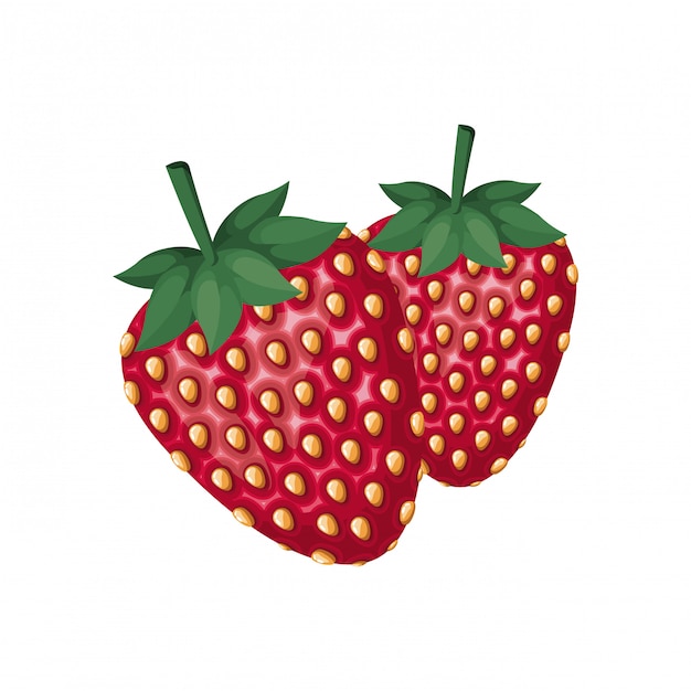 Vector strawberry fruit isolated icon