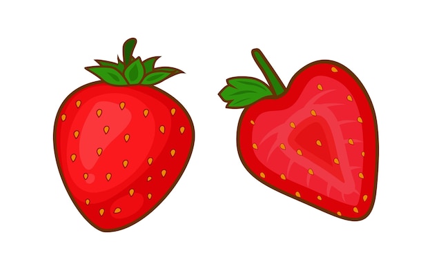 Strawberry fruit slice vector illustration