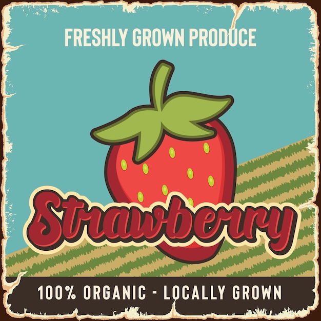 Strawberry fruit vintage market advertising poster vector template