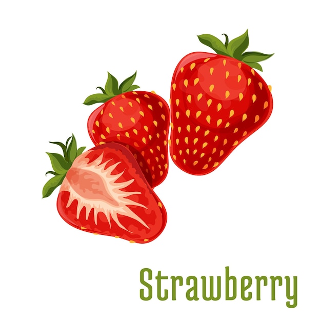 Strawberry fruits botanical icon