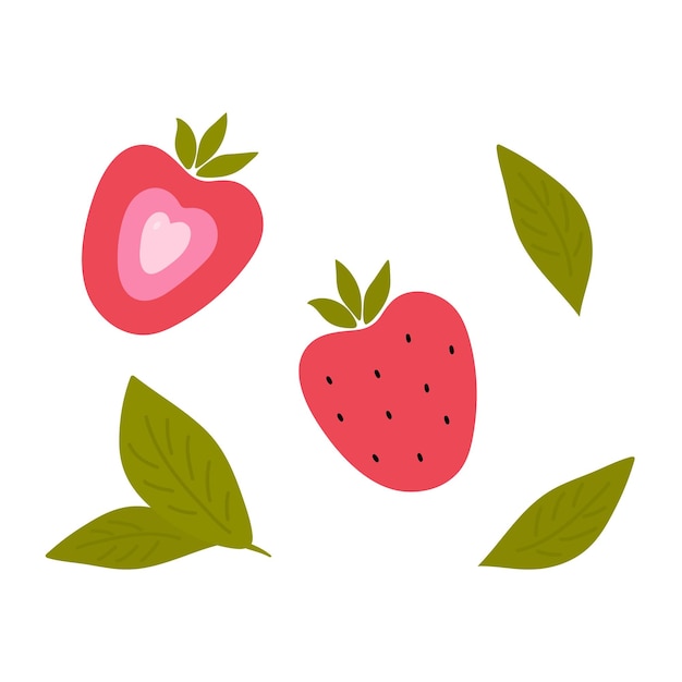 Strawberry and green tea leaves on white background. vector illustration