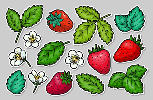 Vector strawberry handgetekende elementen sticker set realistische hele rode bessen bladeren en bloemen gezond vers zoet voedsel cartoon ambacht boeren markt pleisters voor kaart afdruk badge pinnen scrapbooking tag