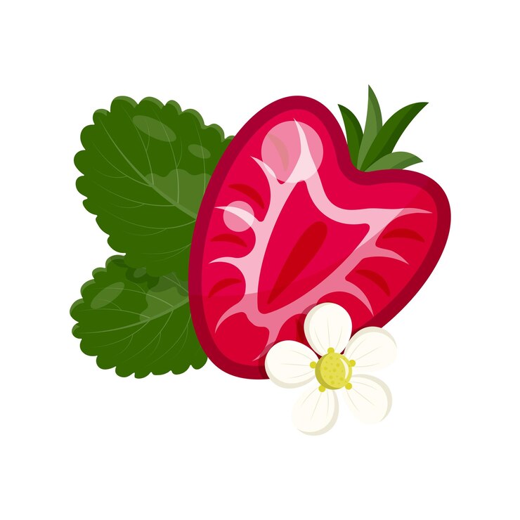 वेक्टर strawberry icon isolated illustration of strawberry on white background berries illustration