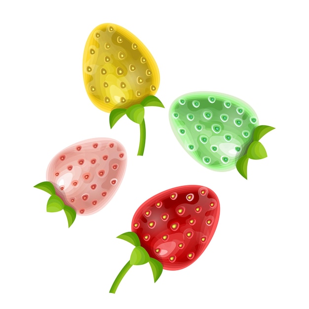 Strawberry icon isolated on white vector illustration