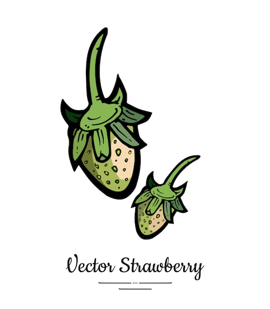 Strawberry isolated green berries hand drawn illustration trendy food vegetarian menu fruit icon whole strawberry