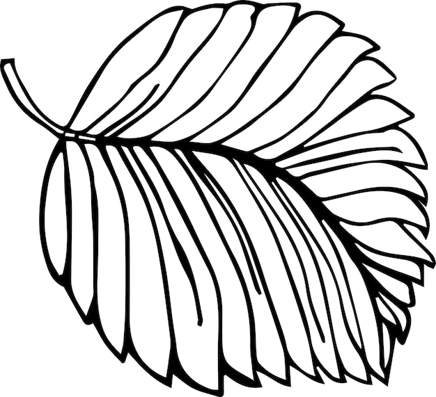 Strawberry leaf hand drawn illustration