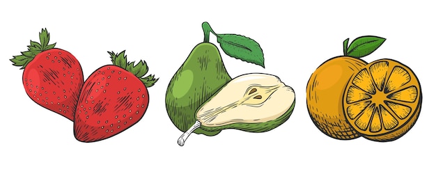 Strawberry, pear and orange handrawn illustration vector