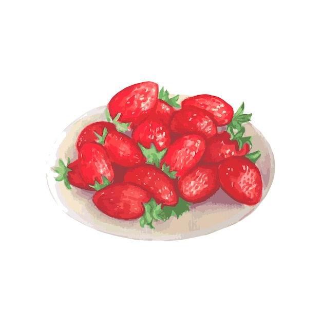 Strawberry on plateVector watercolor hand draw illustration