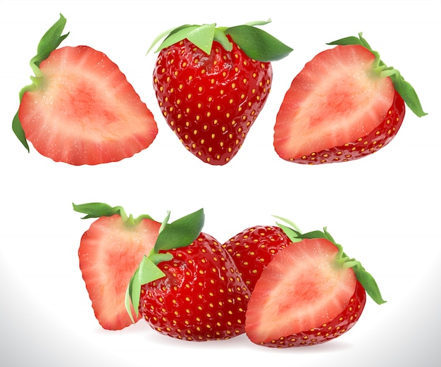 Vector strawberry realistic sweet berry 3d fruit