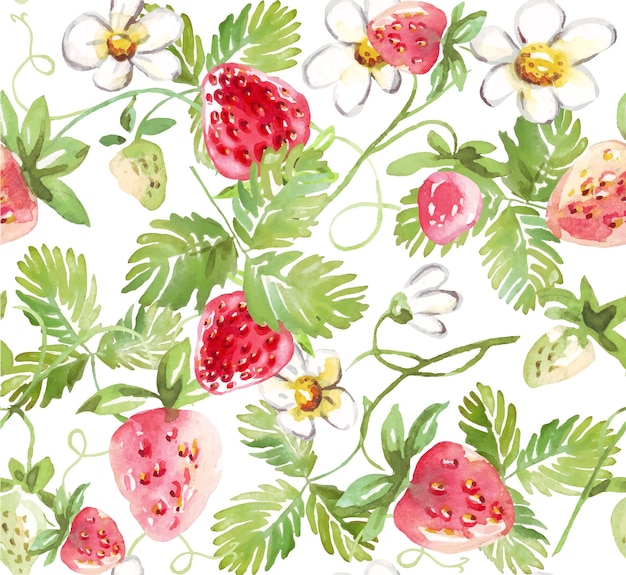 Strawberry seamless pattern Vector