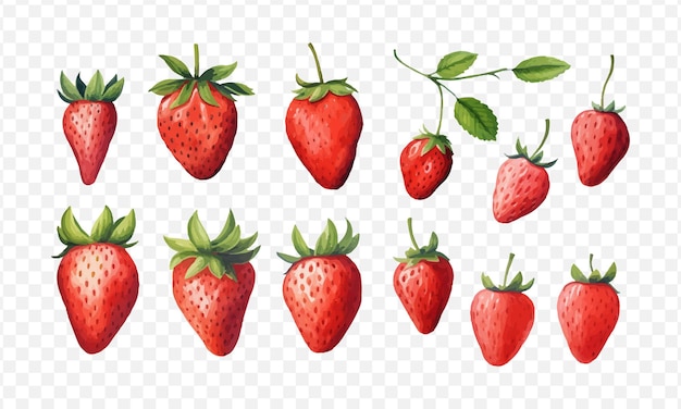 Strawberry set isolated vector illustration