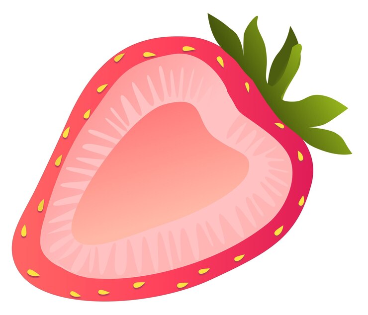 Premium Vector | Strawberry slice fruit vector illustration