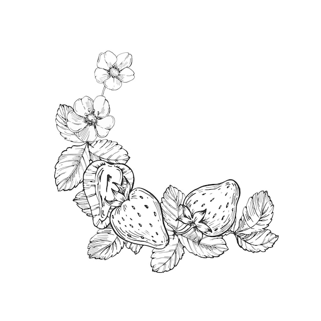 Strawberry vector black and white wreath hand drawn with ink