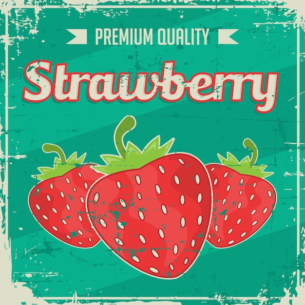 Strawberry vintage retro signage vector