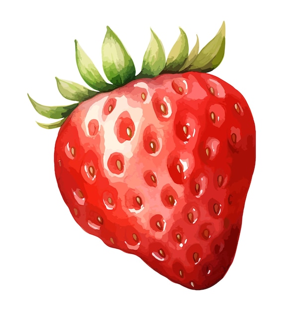 Vettore acquerello di fragola clipart vettore