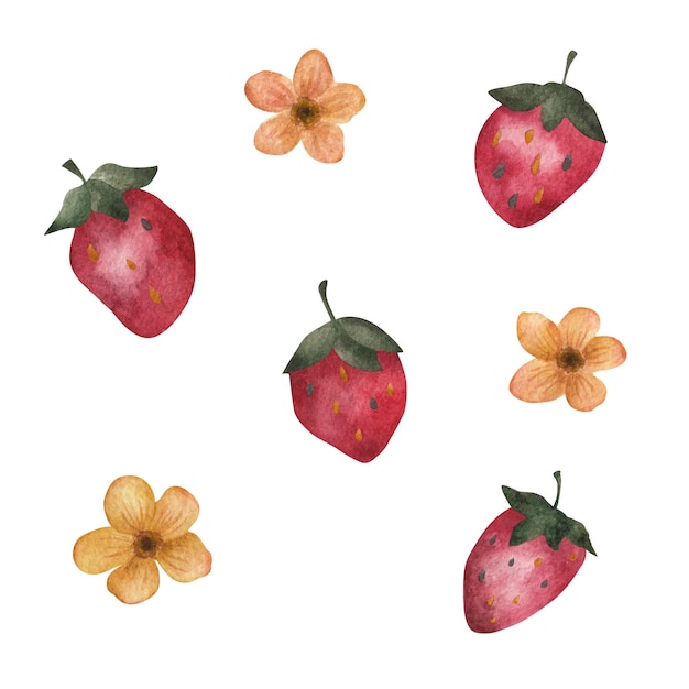 Strawberry. Watercolor set