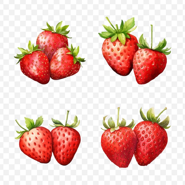 Strawberry watercolor vector element set transparent isolated