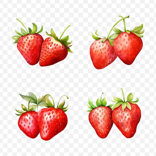 Strawberry watercolor vector element set transparent isolated