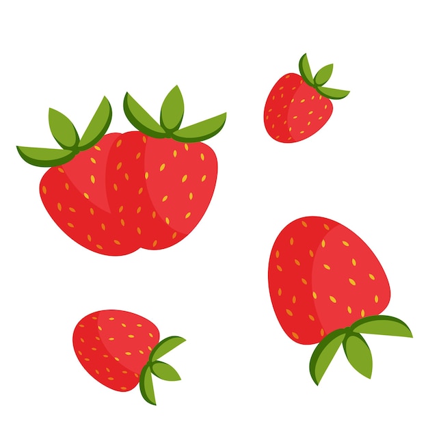 Vector strawberry with slice