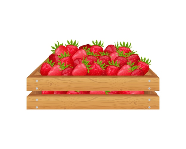 Fragola scatola di legno con fragole mature una bacca rossa matura in una scatola illustrazione vettoriale isolato su uno sfondo bianco