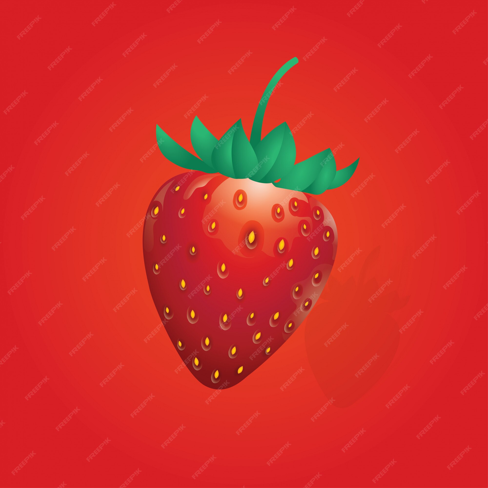 Premium Vector | Strawberry
