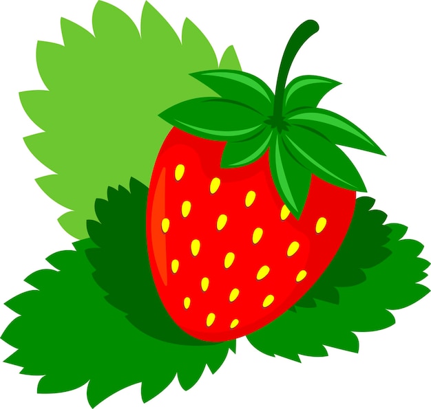 Premium Vector | Strawberry