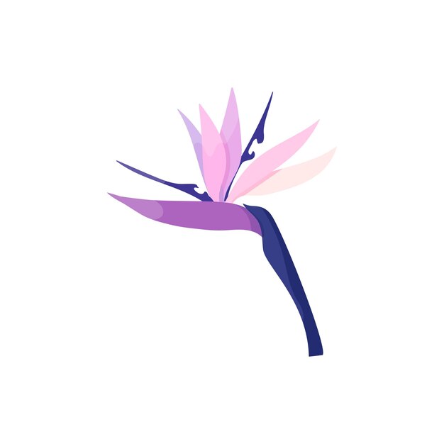 Vector strelitzia-bloem in violette kleuren close-up van een mooie knop in cartoonstijl