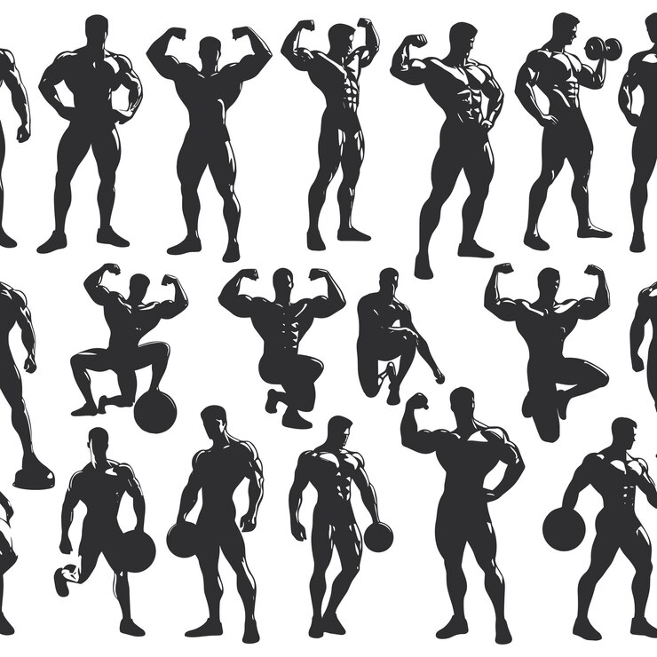 Vector strength silhouette collection