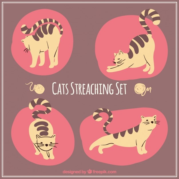 Vector stretching cat set