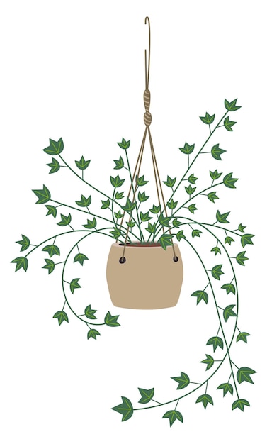 Строка сердец зеленое растение Иконка цвета комнатного растения выделена на белом фоне