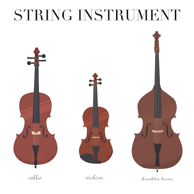 String Instrument Violin Cello Double bass