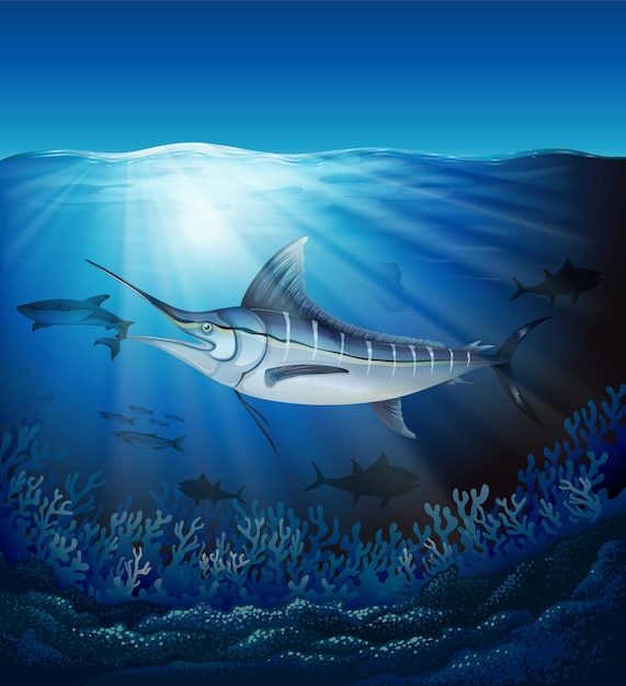 Striped marlin fish swimming in the deep blue sea