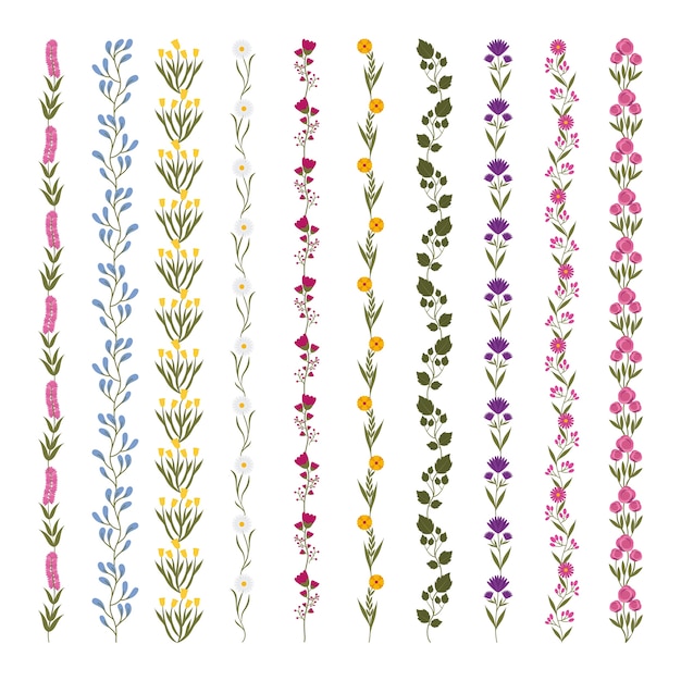 Vector stripes with beautiful flowers