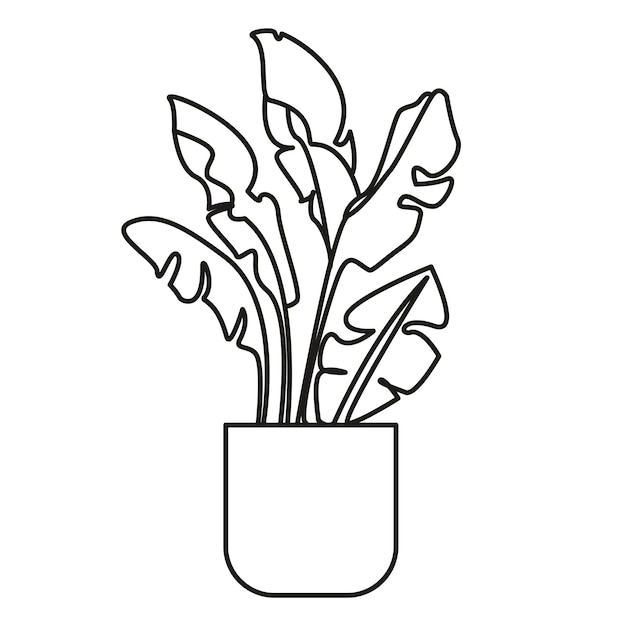 Stroke vector monstera kamerplant in pot