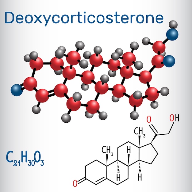 Structurele chemische formule en molecuulmodel van het steroïdhormoon deoxycorticosteron