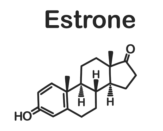 Structurele chemische formule van oestron op een witte achtergrond