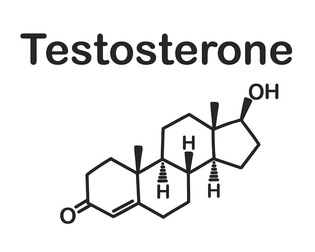 Vector structurele chemische formule van testosteron