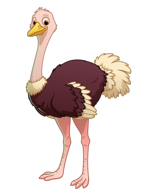 Struisvogel Cartoon Dier Illustratie