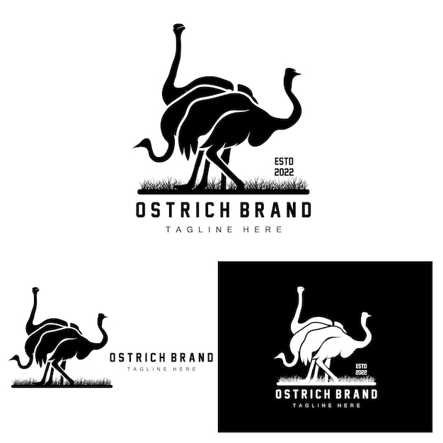 Struisvogel Logo Ontwerp Woestijn Dier Illustratie Levend In Het Bos Vector Kameel Merk Product