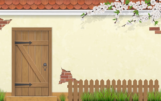 Stucco wall of a house with an old wooden door