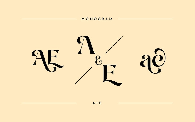 Stunning AE logotype elegant monograms suitable for logo graphic Vector stock initials of A and E