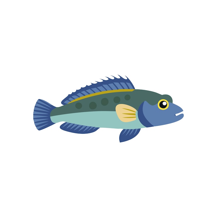 Vector stunning sea fish illustration