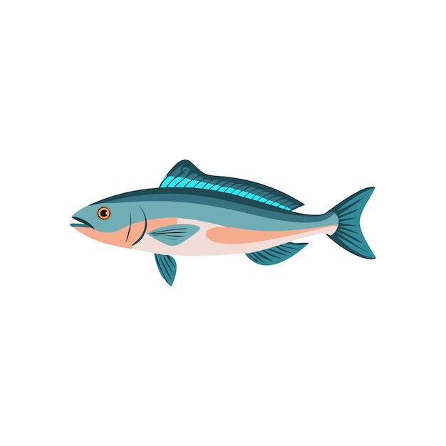 stunning sea fish illustration